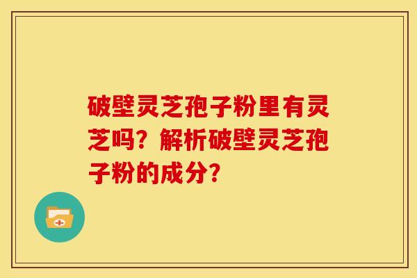 破壁灵芝孢子粉里有灵芝吗?解析破壁灵芝孢子粉的成分? 破壁灵芝孢子粉里有灵芝吗?解析破壁灵芝孢子粉的成分?