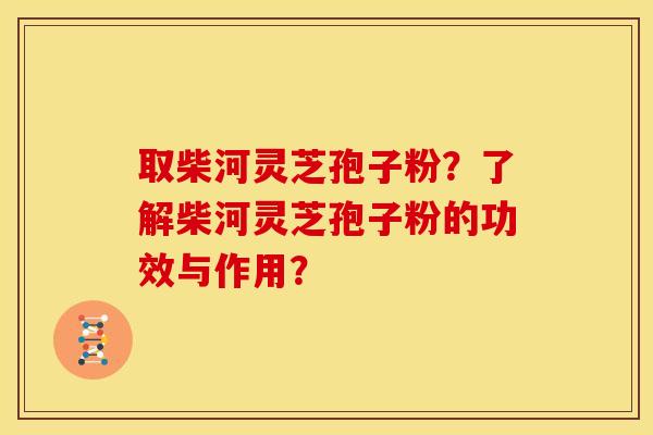 取柴河灵芝孢子粉?了解柴河灵芝孢子粉的功效与作用? 取柴河灵芝孢子粉?了解柴河灵芝孢子粉的功效与作用?