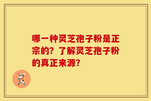 哪一种灵芝孢子粉是正宗的?了解灵芝孢子粉的真正来源? 哪一种灵芝孢子粉是正宗的?了解灵芝孢子粉的真正来源?