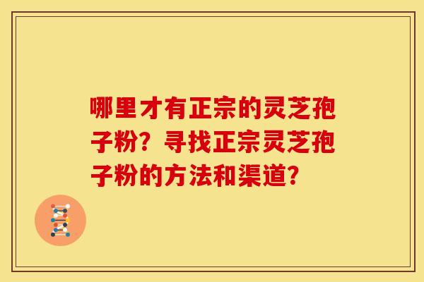 哪里才有正宗的灵芝孢子粉?寻找正宗灵芝孢子粉的方法和渠道? 哪里才有正宗的灵芝孢子粉?寻找正宗灵芝孢子粉的方法和渠道?