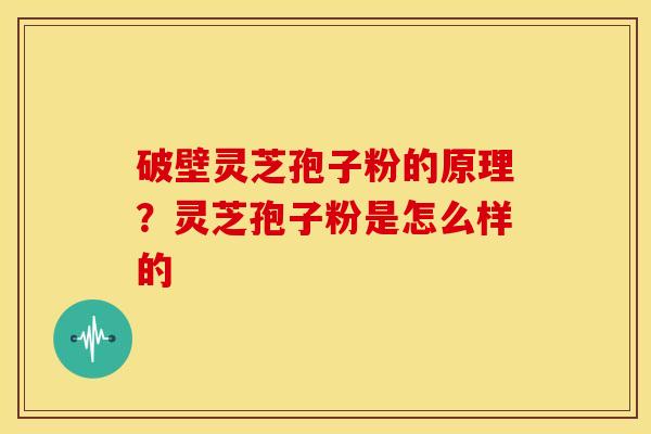 破壁灵芝孢子粉的原理?灵芝孢子粉是怎么样的 破壁灵芝孢子粉的原理?灵芝孢子粉是怎么样的