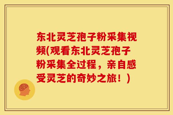 东北灵芝孢子粉采集视频(观看东北灵芝孢子粉采集全过程,亲自感受灵芝的奇妙之旅!) 东北灵芝孢子粉采集视频(观看东北灵芝孢子粉采集全过程,亲自感受灵芝的奇妙之旅!)