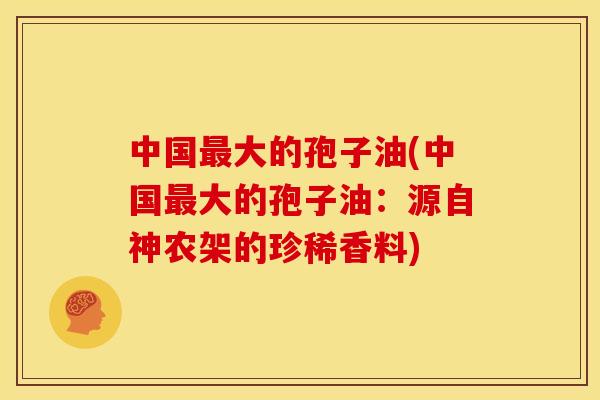 中国大的孢子油(中国大的孢子油:源自神农架的珍稀香料) 中国大的孢子油(中国大的孢子油:源自神农架的珍稀香料)