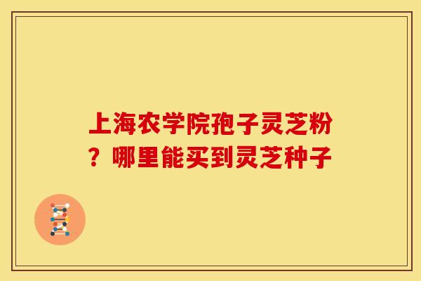 上海农学院孢子灵芝粉?哪里能买到灵芝种子 上海农学院孢子灵芝粉?哪里能买到灵芝种子