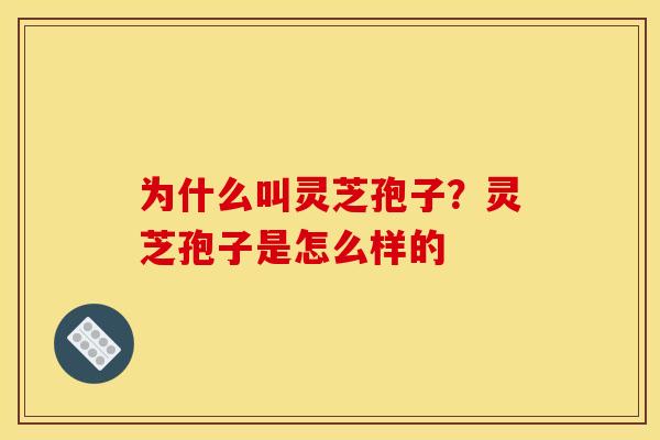 为什么叫灵芝孢子?灵芝孢子是怎么样的 为什么叫灵芝孢子?灵芝孢子是怎么样的