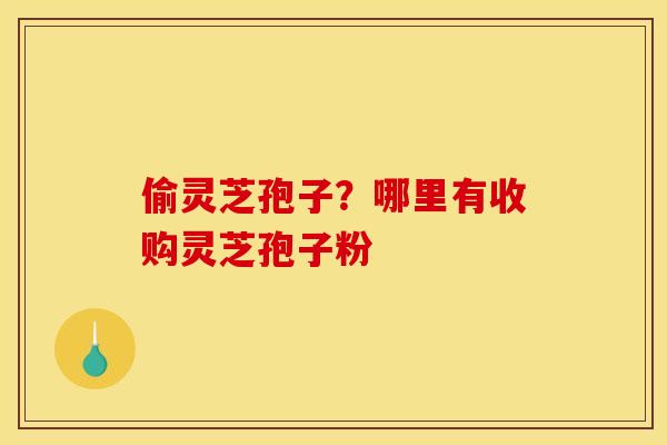 偷灵芝孢子?哪里有收购灵芝孢子粉 偷灵芝孢子?哪里有收购灵芝孢子粉