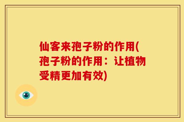 仙客来孢子粉的作用(孢子粉的作用:让植物受精更加有效) 仙客来孢子粉的作用(孢子粉的作用:让植物受精更加有效)