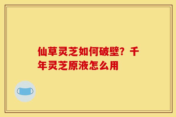 仙草灵芝如何破壁?千年灵芝原液怎么用 仙草灵芝如何破壁?千年灵芝原液怎么用
