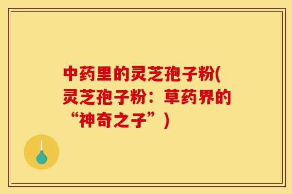 里的灵芝孢子粉(灵芝孢子粉:草药界的“神奇之子”) 里的灵芝孢子粉(灵芝孢子粉:草药界的“神奇之子”)