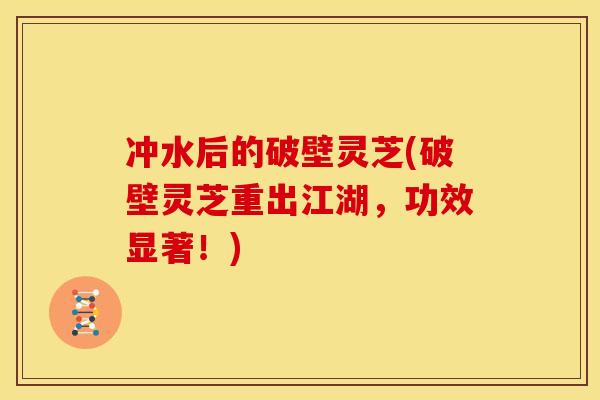 冲水后的破壁灵芝(破壁灵芝重出江湖,功效显著!) 冲水后的破壁灵芝(破壁灵芝重出江湖,功效显著!)