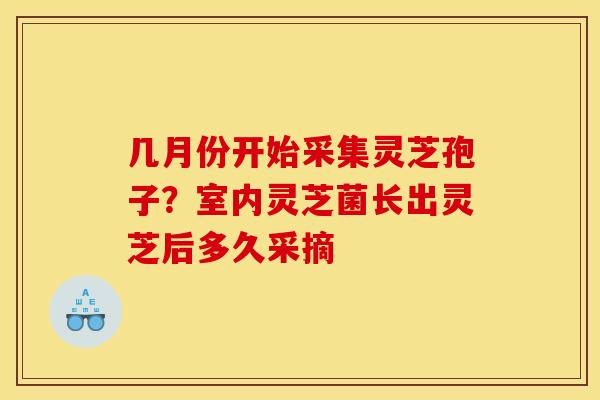 几月份开始采集灵芝孢子?室内灵芝菌长出灵芝后多久采摘 几月份开始采集灵芝孢子?室内灵芝菌长出灵芝后多久采摘