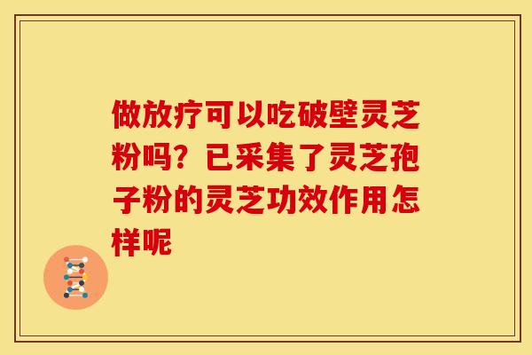 做可以吃破壁灵芝粉吗?已采集了灵芝孢子粉的灵芝功效作用怎样呢 做可以吃破壁灵芝粉吗?已采集了灵芝孢子粉的灵芝功效作用怎样呢