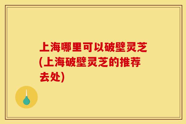 上海哪里可以破壁灵芝(上海破壁灵芝的推荐去处) 上海哪里可以破壁灵芝(上海破壁灵芝的推荐去处)