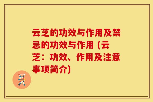 云芝的功效与作用及禁忌的功效与作用 (云芝:功效、作用及注意事项简介) 云芝的功效与作用及禁忌的功效与作用 (云芝:功效、作用及注意事项简介)