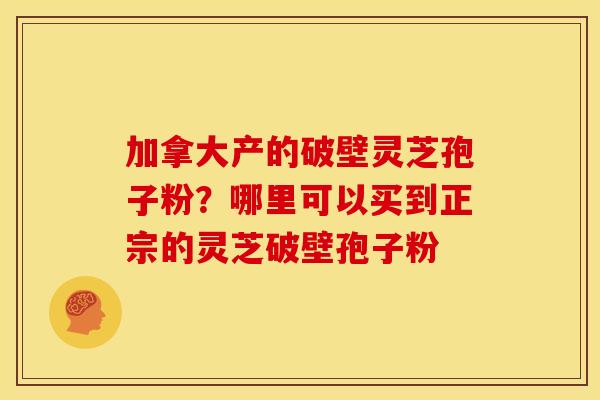 加拿大产的破壁灵芝孢子粉?哪里可以买到正宗的灵芝破壁孢子粉 加拿大产的破壁灵芝孢子粉?哪里可以买到正宗的灵芝破壁孢子粉