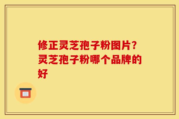 修正灵芝孢子粉图片?灵芝孢子粉哪个品牌的好 修正灵芝孢子粉图片?灵芝孢子粉哪个品牌的好