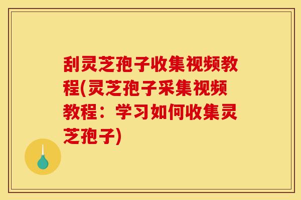 刮灵芝孢子收集视频教程(灵芝孢子采集视频教程:学习如何收集灵芝孢子) 刮灵芝孢子收集视频教程(灵芝孢子采集视频教程:学习如何收集灵芝孢子)