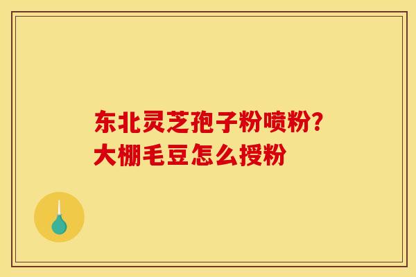 东北灵芝孢子粉喷粉？大棚毛豆怎么授粉