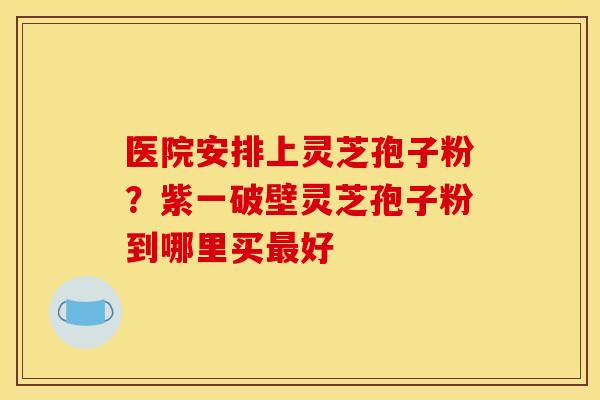 医院安排上灵芝孢子粉?紫一破壁灵芝孢子粉到哪里买好 医院安排上灵芝孢子粉?紫一破壁灵芝孢子粉到哪里买好