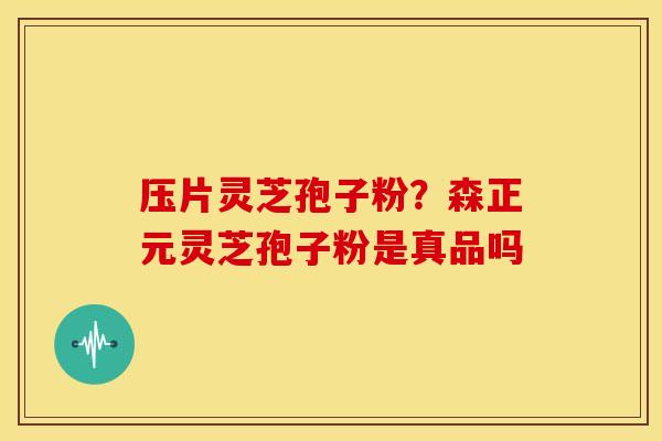 压片灵芝孢子粉?森正元灵芝孢子粉是真品吗 压片灵芝孢子粉?森正元灵芝孢子粉是真品吗