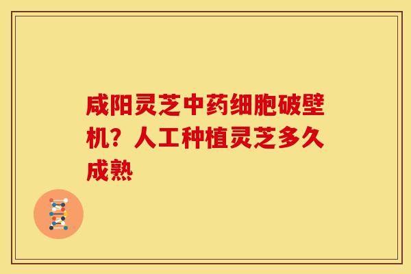 咸阳灵芝细胞破壁机?人工种植灵芝多久成熟 咸阳灵芝细胞破壁机?人工种植灵芝多久成熟