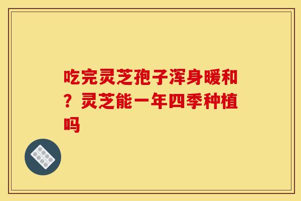 吃完灵芝孢子浑身暖和?灵芝能一年四季种植吗 吃完灵芝孢子浑身暖和?灵芝能一年四季种植吗