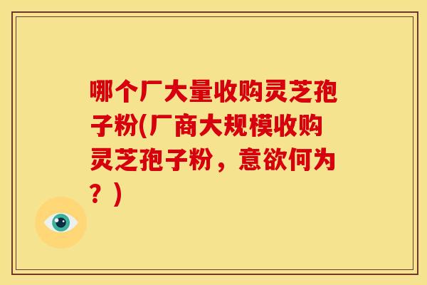 哪个厂大量收购灵芝孢子粉(厂商大规模收购灵芝孢子粉,意欲何为?) 哪个厂大量收购灵芝孢子粉(厂商大规模收购灵芝孢子粉,意欲何为?)