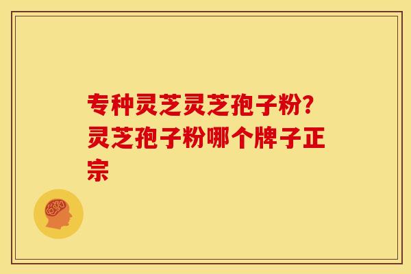 专种灵芝灵芝孢子粉?灵芝孢子粉哪个牌子正宗 专种灵芝灵芝孢子粉?灵芝孢子粉哪个牌子正宗