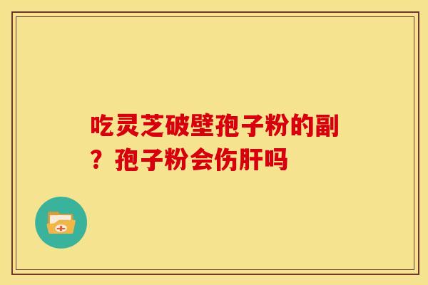 吃灵芝破壁孢子粉的副?孢子粉会伤吗 吃灵芝破壁孢子粉的副?孢子粉会伤吗