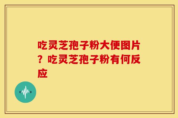 吃灵芝孢子粉大便图片?吃灵芝孢子粉有何反应 吃灵芝孢子粉大便图片?吃灵芝孢子粉有何反应