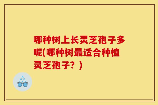 哪种树上长灵芝孢子多呢(哪种树适合种植灵芝孢子?) 哪种树上长灵芝孢子多呢(哪种树适合种植灵芝孢子?)