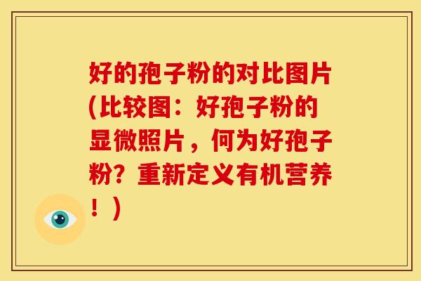 好的孢子粉的对比图片(比较图:好孢子粉的显微照片,何为好孢子粉?重新定义有机营养!) 好的孢子粉的对比图片(比较图:好孢子粉的显微照片,何为好孢子粉?重新定义有机营养!)