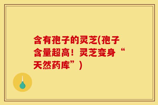 含有孢子的灵芝(孢子含量超高!灵芝变身“天然药库”) 含有孢子的灵芝(孢子含量超高!灵芝变身“天然药库”)