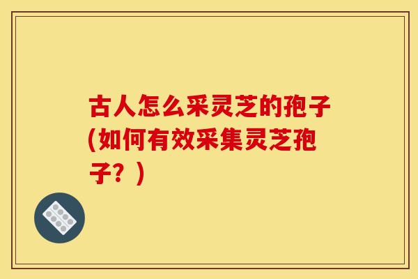 古人怎么采灵芝的孢子(如何有效采集灵芝孢子?) 古人怎么采灵芝的孢子(如何有效采集灵芝孢子?)