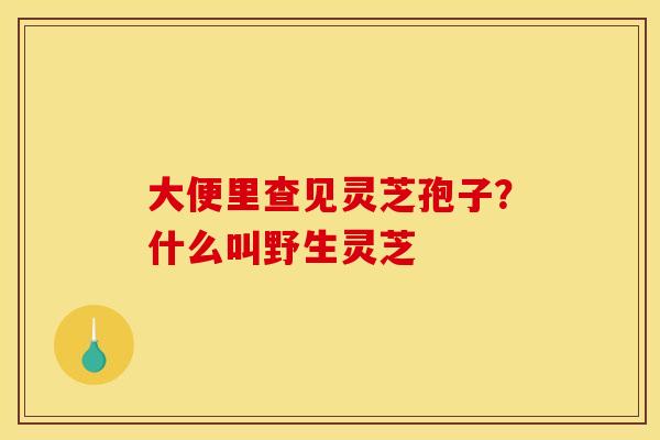 大便里查见灵芝孢子?什么叫野生灵芝 大便里查见灵芝孢子?什么叫野生灵芝