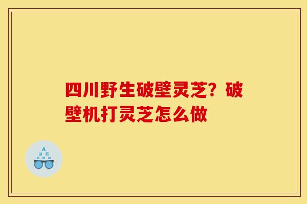 四川野生破壁灵芝?破壁机打灵芝怎么做 四川野生破壁灵芝?破壁机打灵芝怎么做