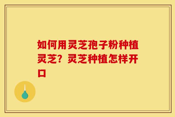 如何用灵芝孢子粉种植灵芝?灵芝种植怎样开口 如何用灵芝孢子粉种植灵芝?灵芝种植怎样开口