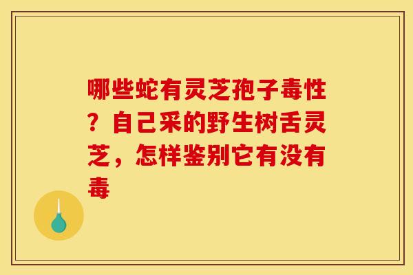哪些蛇有灵芝孢子毒性?自己采的野生树舌灵芝,怎样鉴别它有没有毒 哪些蛇有灵芝孢子毒性?自己采的野生树舌灵芝,怎样鉴别它有没有毒