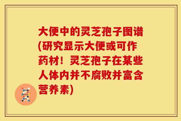 大便中的灵芝孢子图谱(研究显示大便或可作药材!灵芝孢子在某些人体内并不腐败并富含营养素) 大便中的灵芝孢子图谱(研究显示大便或可作药材!灵芝孢子在某些人体内并不腐败并富含营养素)