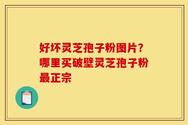 好坏灵芝孢子粉图片？哪里买破壁灵芝孢子粉正宗