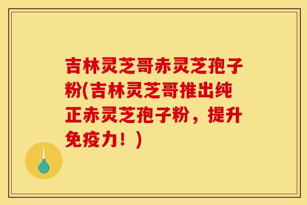 吉林灵芝哥赤灵芝孢子粉(吉林灵芝哥推出纯正赤灵芝孢子粉,提升免疫力!) 吉林灵芝哥赤灵芝孢子粉(吉林灵芝哥推出纯正赤灵芝孢子粉,提升免疫力!)
