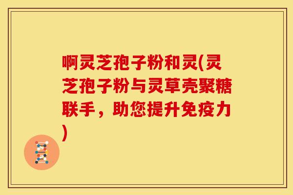 啊灵芝孢子粉和灵(灵芝孢子粉与灵草壳聚糖联手,助您提升免疫力) 啊灵芝孢子粉和灵(灵芝孢子粉与灵草壳聚糖联手,助您提升免疫力)