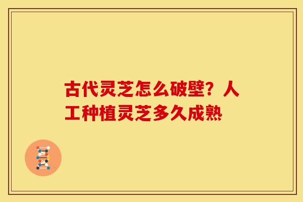古代灵芝怎么破壁?人工种植灵芝多久成熟 古代灵芝怎么破壁?人工种植灵芝多久成熟