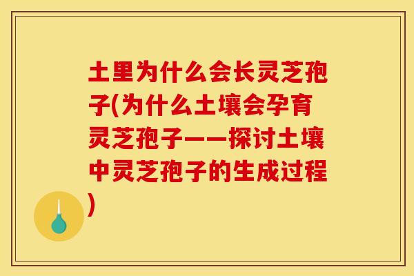土里为什么会长灵芝孢子(为什么土壤会孕育灵芝孢子——探讨土壤中灵芝孢子的生成过程) 土里为什么会长灵芝孢子(为什么土壤会孕育灵芝孢子——探讨土壤中灵芝孢子的生成过程)
