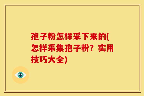 孢子粉怎样采下来的(怎样采集孢子粉？实用技巧大全)