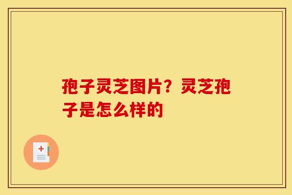 孢子灵芝图片?灵芝孢子是怎么样的 孢子灵芝图片?灵芝孢子是怎么样的