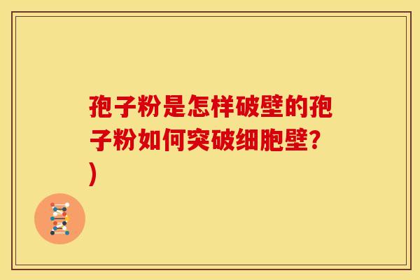 孢子粉是怎样破壁的孢子粉如何突破细胞壁?) 孢子粉是怎样破壁的孢子粉如何突破细胞壁?)