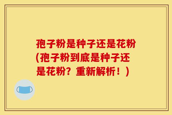 孢子粉是种子还是花粉(孢子粉到底是种子还是花粉?重新解析!) 孢子粉是种子还是花粉(孢子粉到底是种子还是花粉?重新解析!)