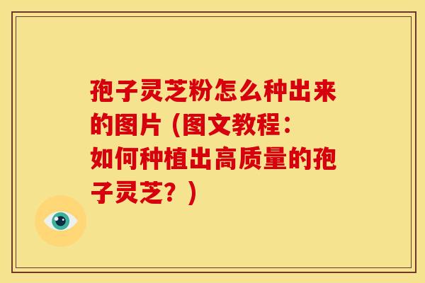 孢子灵芝粉怎么种出来的图片 (图文教程:如何种植出高质量的孢子灵芝?) 孢子灵芝粉怎么种出来的图片 (图文教程:如何种植出高质量的孢子灵芝?)