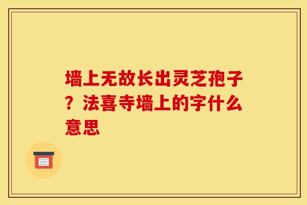 墙上无故长出灵芝孢子？法喜寺墙上的字什么意思